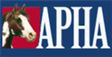 American Paint Horse Association