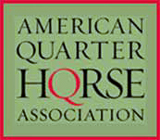American Quarter Horse Association