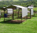 covered horse stalls