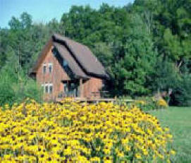 Log Cabins The Natural Gait