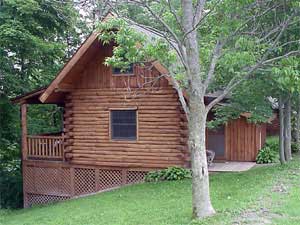 The Natural Gait | Turkey Roost Cabin